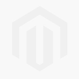 LED PAR38